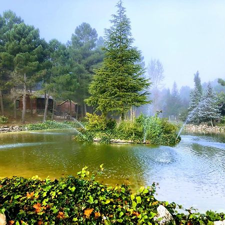 Chalet Esmeralda 3 D Y 2 Banos Zafiro Lagunazo Parque Natural Rio Mundo Riópar Eksteriør billede