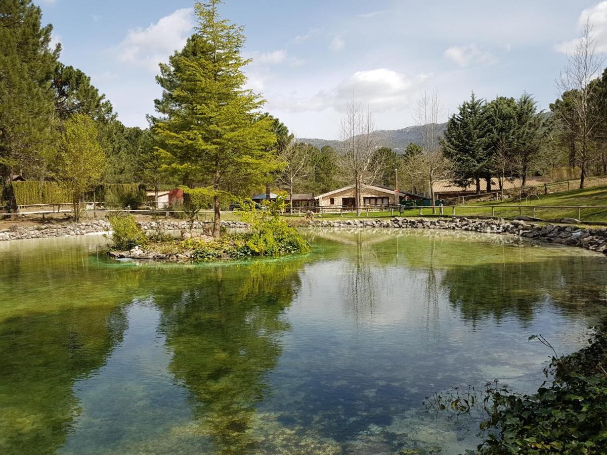 Chalet Esmeralda 3 D Y 2 Banos Zafiro Lagunazo Parque Natural Rio Mundo Riópar Eksteriør billede