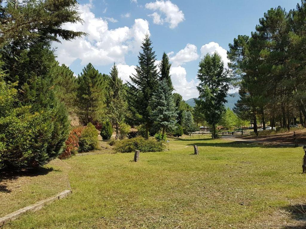 Chalet Esmeralda 3 D Y 2 Banos Zafiro Lagunazo Parque Natural Rio Mundo Riópar Eksteriør billede
