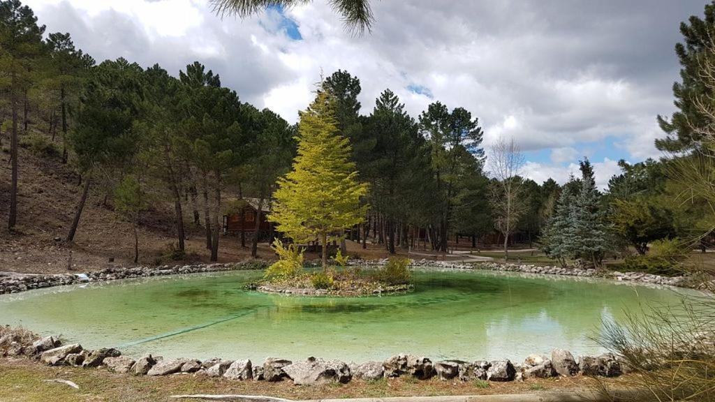 Chalet Esmeralda 3 D Y 2 Banos Zafiro Lagunazo Parque Natural Rio Mundo Riópar Eksteriør billede