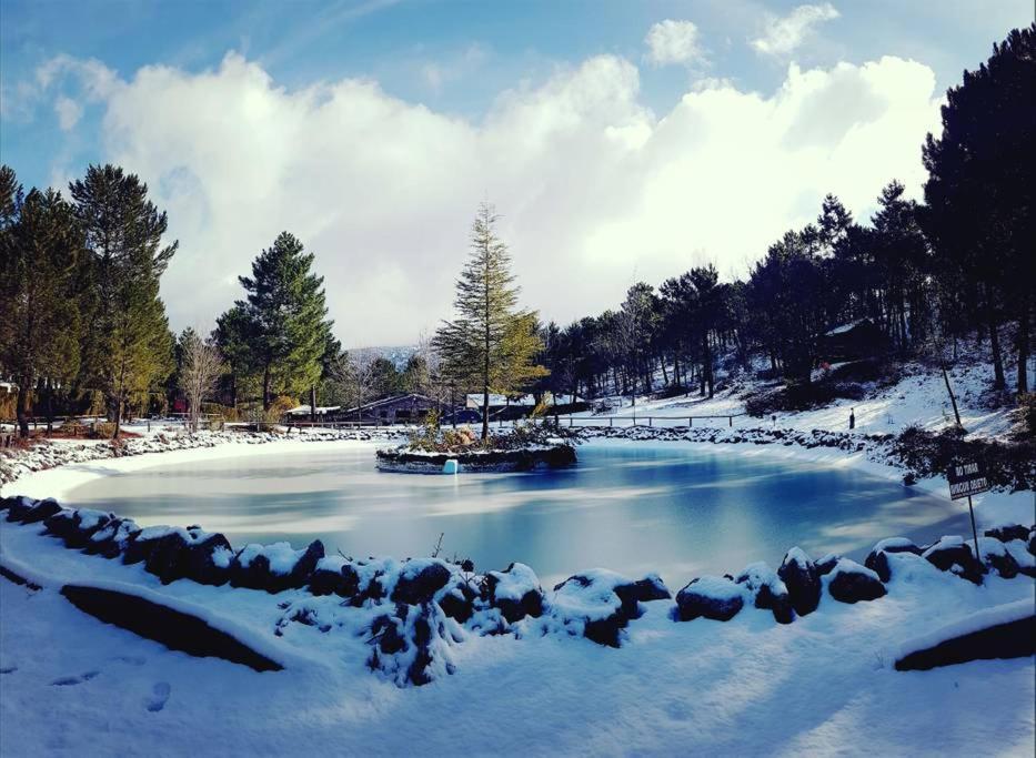 Chalet Esmeralda 3 D Y 2 Banos Zafiro Lagunazo Parque Natural Rio Mundo Riópar Eksteriør billede