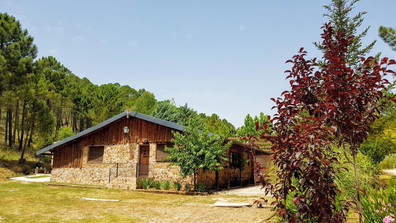 Chalet Esmeralda 3 D Y 2 Banos Zafiro Lagunazo Parque Natural Rio Mundo Riópar Eksteriør billede