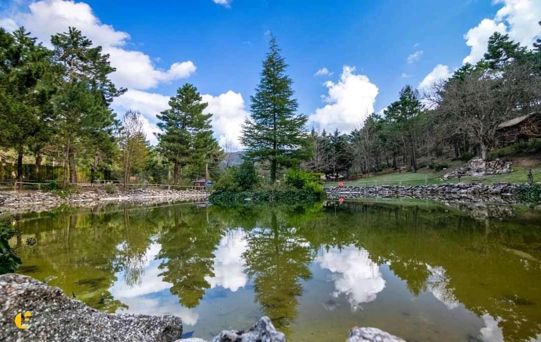 Chalet Esmeralda 3 D Y 2 Banos Zafiro Lagunazo Parque Natural Rio Mundo Riópar Eksteriør billede