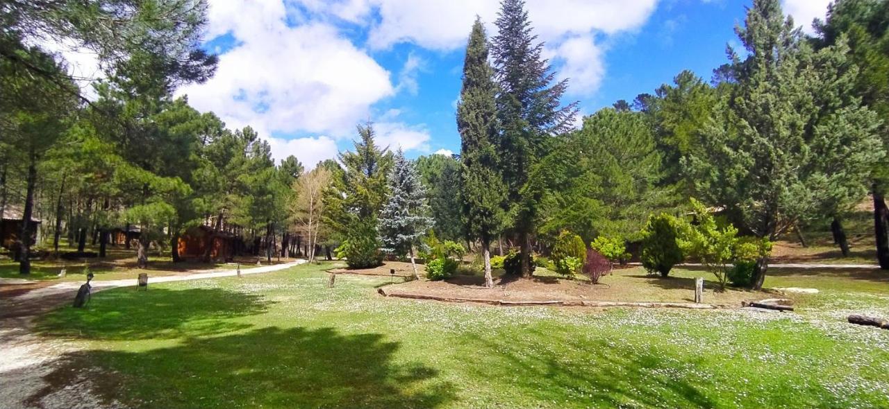 Chalet Esmeralda 3 D Y 2 Banos Zafiro Lagunazo Parque Natural Rio Mundo Riópar Eksteriør billede