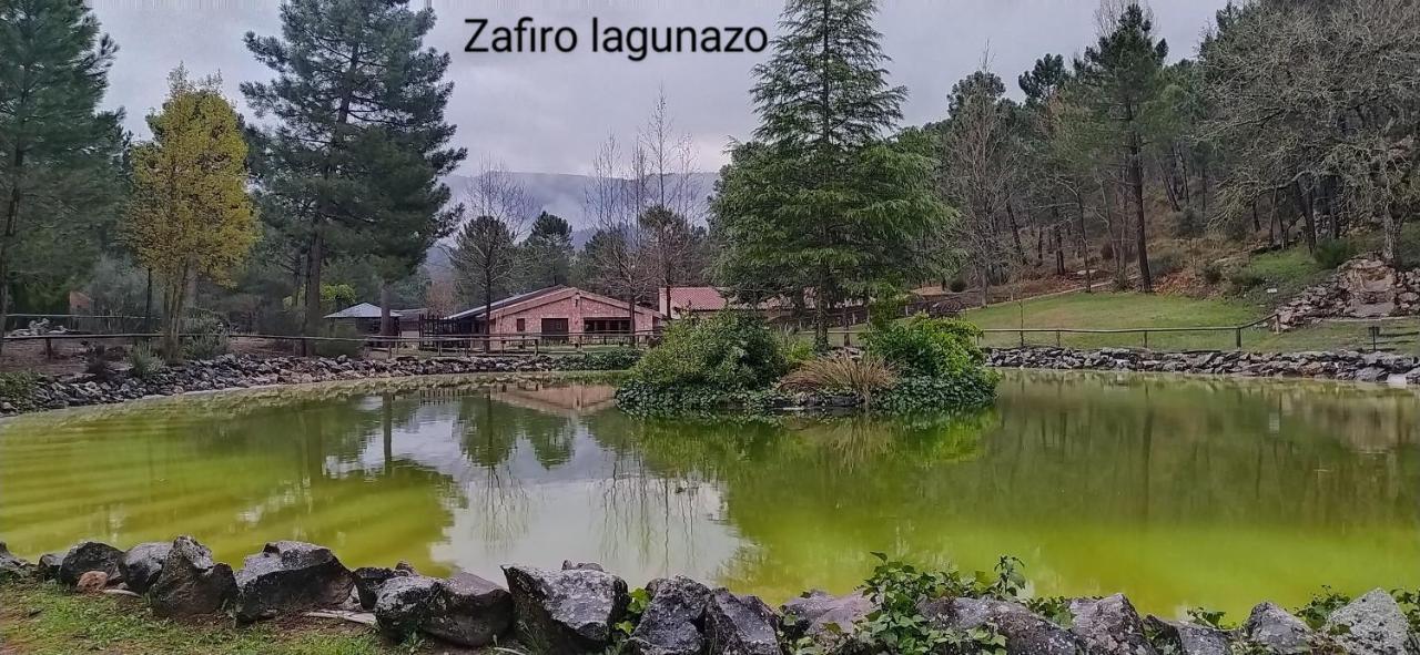 Chalet Esmeralda 3 D Y 2 Banos Zafiro Lagunazo Parque Natural Rio Mundo Riópar Eksteriør billede