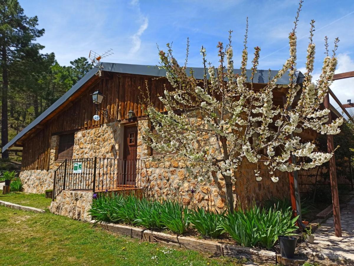Chalet Esmeralda 3 D Y 2 Banos Zafiro Lagunazo Parque Natural Rio Mundo Riópar Eksteriør billede