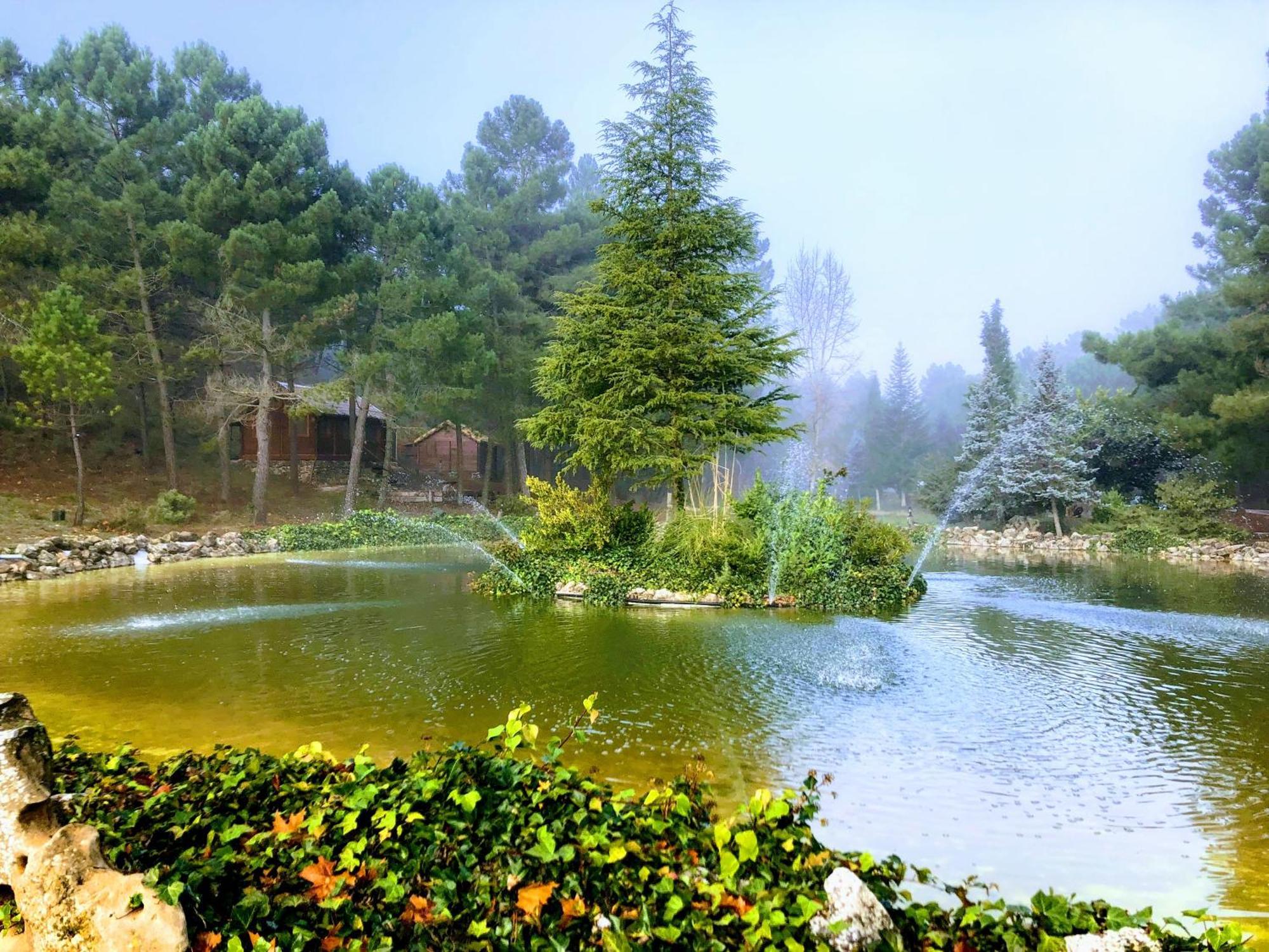 Chalet Esmeralda 3 D Y 2 Banos Zafiro Lagunazo Parque Natural Rio Mundo Riópar Eksteriør billede