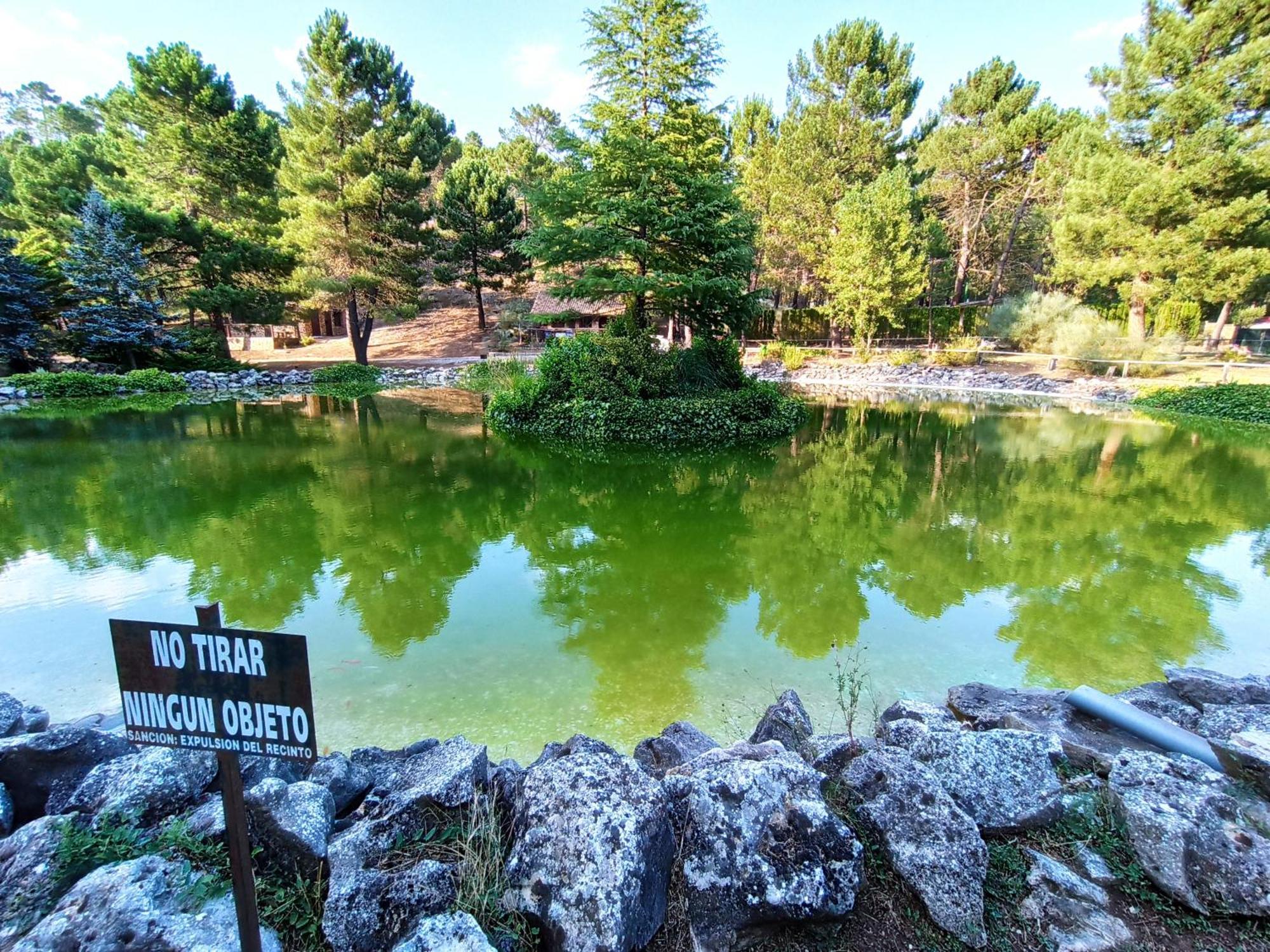 Chalet Esmeralda 3 D Y 2 Banos Zafiro Lagunazo Parque Natural Rio Mundo Riópar Eksteriør billede