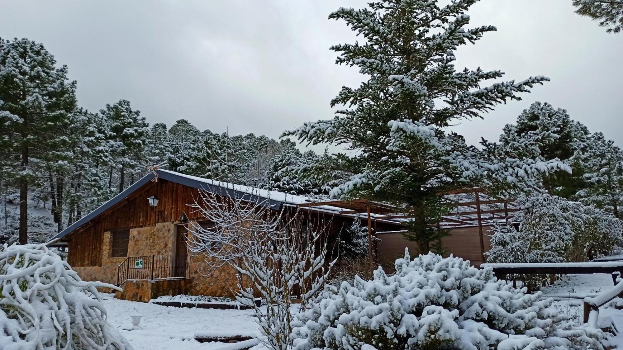 Chalet Esmeralda 3 D Y 2 Banos Zafiro Lagunazo Parque Natural Rio Mundo Riópar Eksteriør billede
